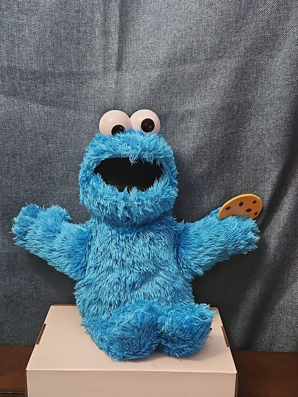 Sesame Street Cookie Monster Plush | 10” Hasbro Talking Figure with Cookie