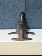 Vintage S.H. Sea Lion Figure | Realistic Ocean Animal Toy | Articulated Neck