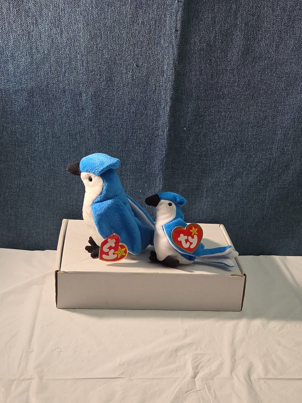 Ty Beanie Baby Rocket the Blue Jay Set Standard & Teenie Beanie 1998 NWT Bird