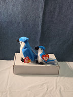 Ty Beanie Baby Rocket the Blue Jay Set Standard & Teenie Beanie 1998 NWT Bird