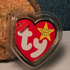 Beak Ty Beanie Baby 1998 Retired Kiwi Bird with Tag Protector Vintage Retired