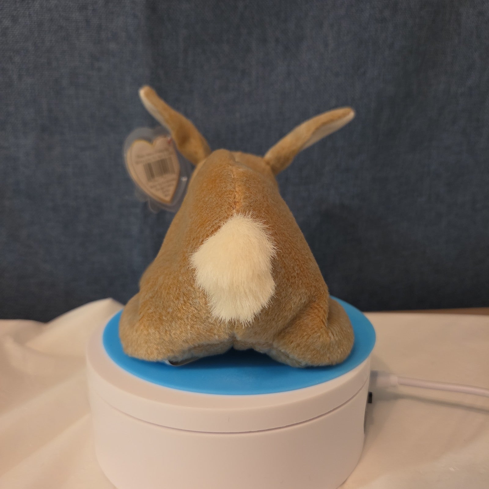 Ty Beanie Baby Nibbly Bunny Rabbit Plush 1999 NWT Hard Tag Protector