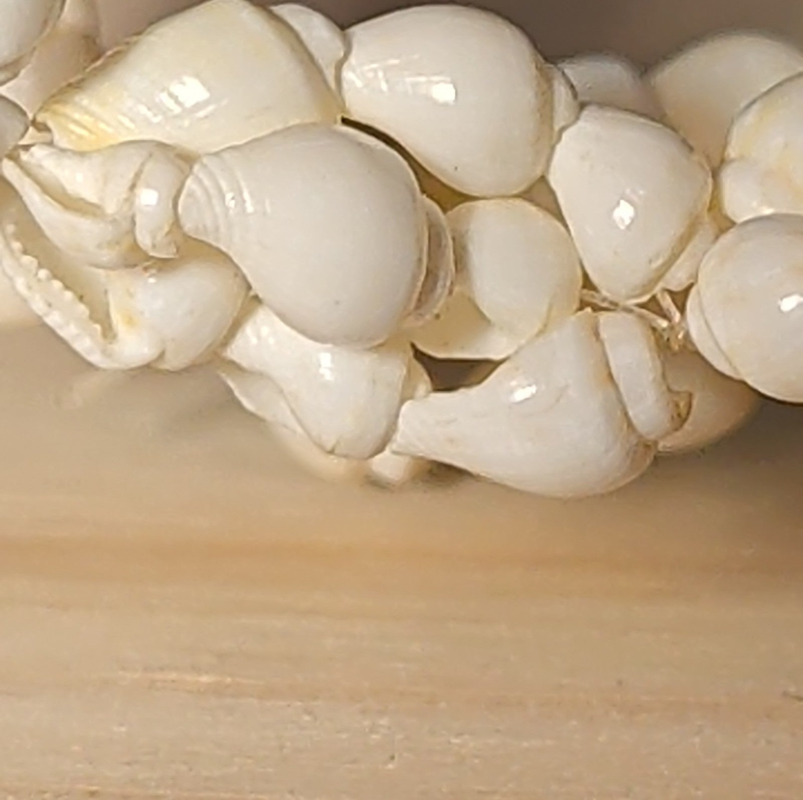 Hawaiian Woven Shell Lei Long Necklace Boho Beach