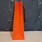 Hermes Small Orange Shopping Bag Authentic Paper Gift Tote Luxury Decor