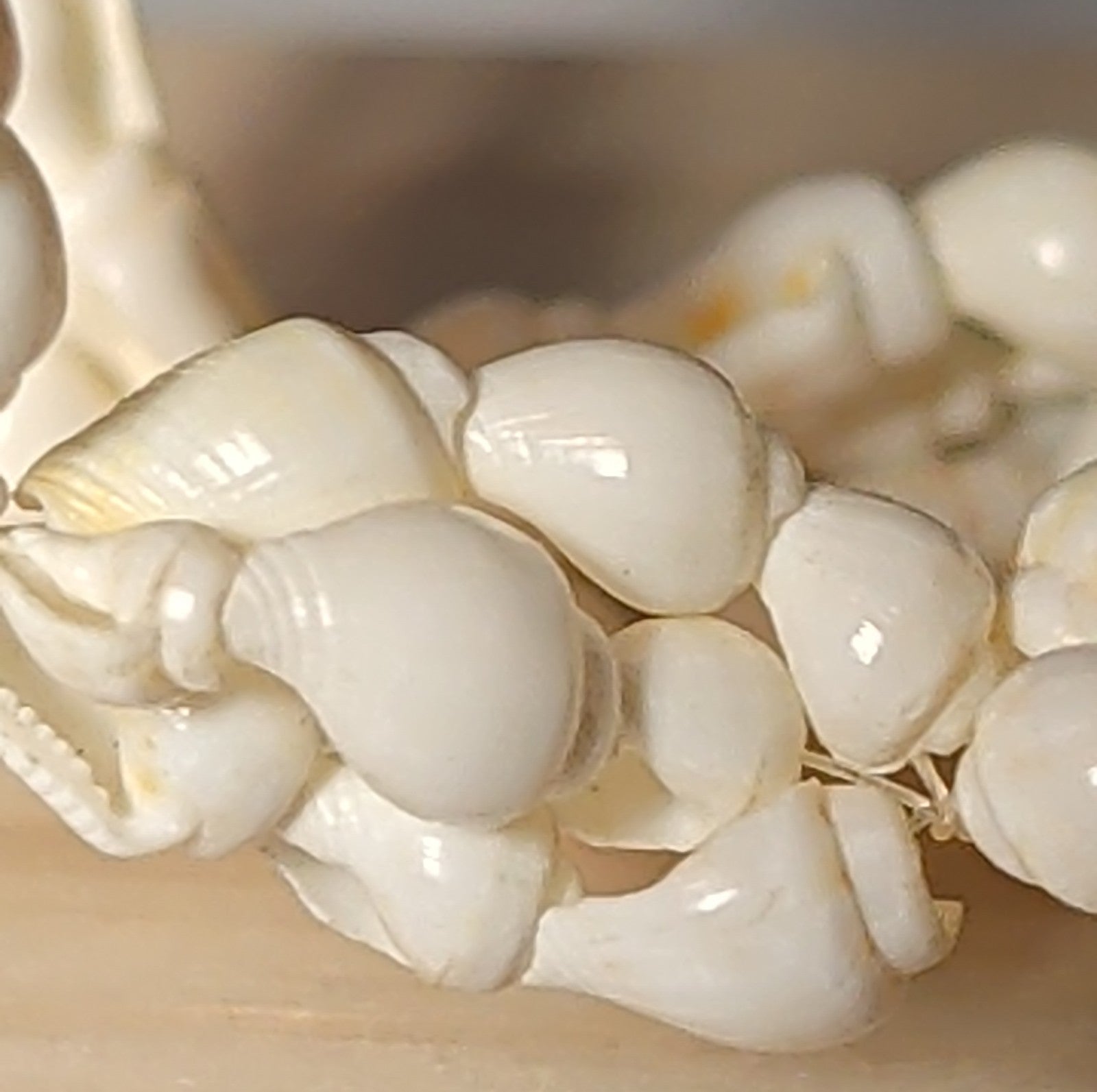 Hawaiian Woven Shell Lei Long Necklace Boho Beach