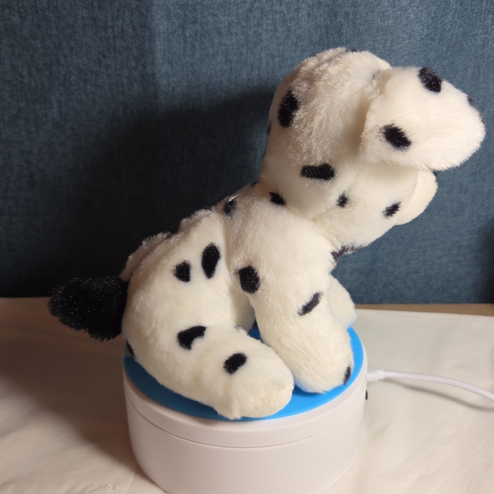 TY Beanie Boos - FETCH the Dalmatian (Solid Eye Color) (6 inch) 2011