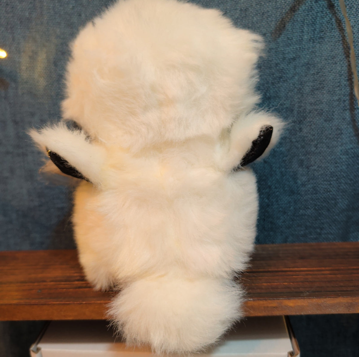 TY Beanie Boos Austin White Owl 6" Plush Gold Eyes Kawaii MWMTs