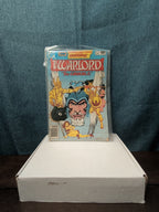 The Warlord #44 DC Comics 1981 / Mike Grell Sword & Sorcery Fantasy