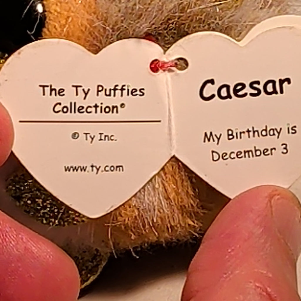 Ty Puffies CAESAR THE LION Beanie Ball 4" Plush | 2022 Mint with Tags MWMT Gold