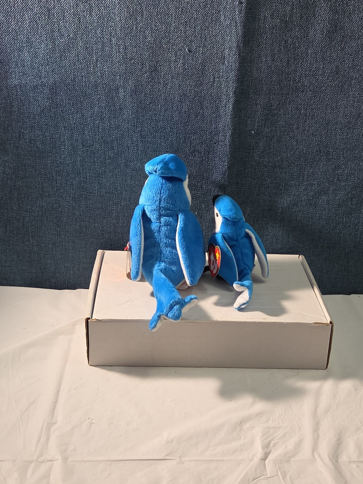 Ty Beanie Baby Rocket the Blue Jay Set Standard & Teenie Beanie 1998 NWT Bird