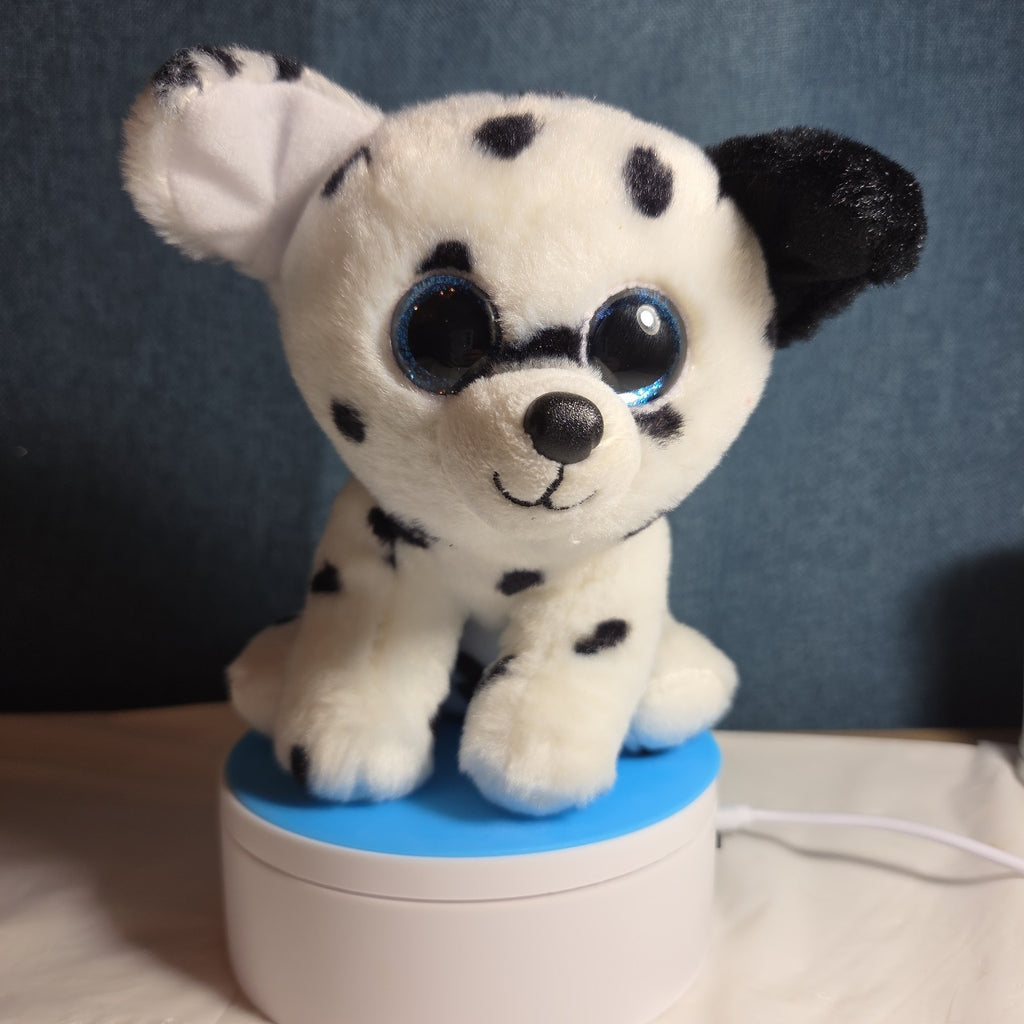 TY Beanie Boos - FETCH the Dalmatian (Solid Eye Color) (6 inch) 2011