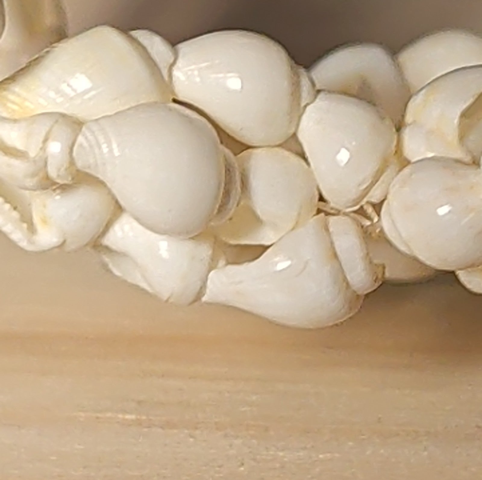 Hawaiian Woven Shell Lei Long Necklace Boho Beach