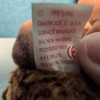 Beak Ty Beanie Baby 1998 Retired Kiwi Bird with Tag Protector Vintage Retired