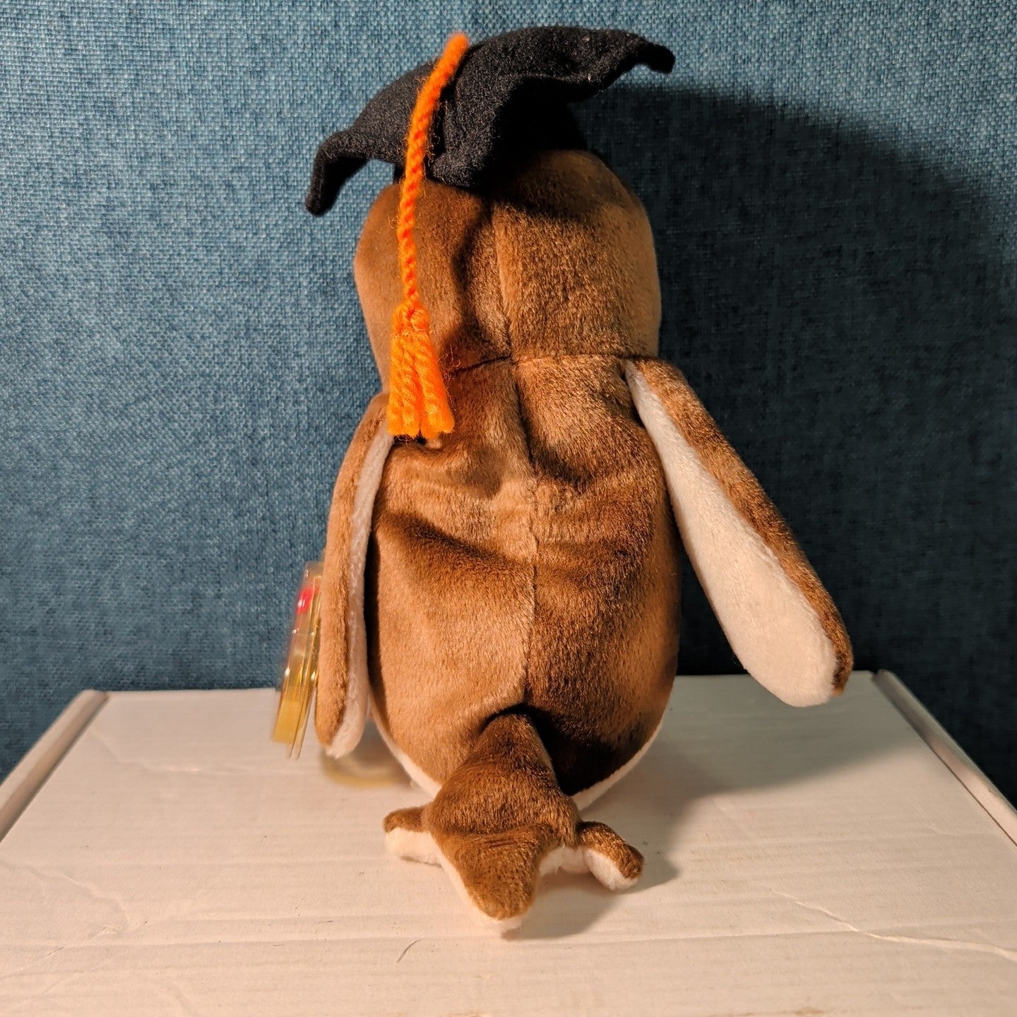 Wise TY Beanie Baby Owl Class of 1998 Graduation Gift MWMT with Tag Protector