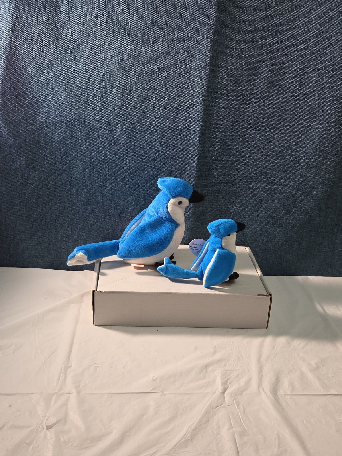 Ty Beanie Baby Rocket the Blue Jay Set Standard & Teenie Beanie 1998 NWT Bird