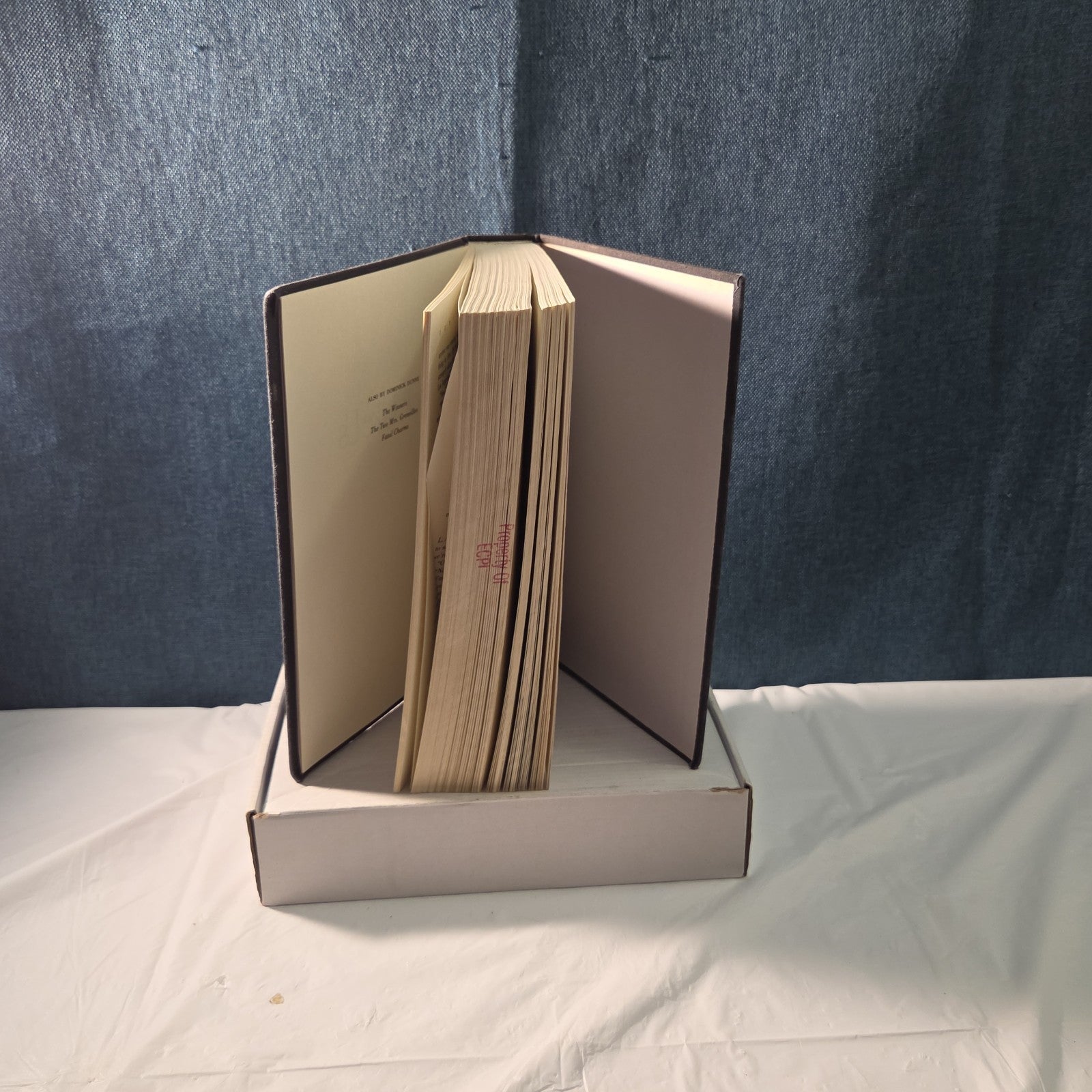 People Like Us Dominick Dunne 1988 Hardcover Vintage Ex-Library Reading Book