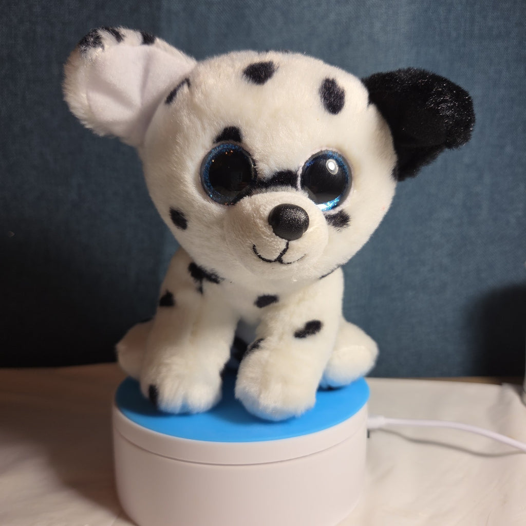 TY Beanie Boos - FETCH the Dalmatian (Solid Eye Color) (6 inch) 2011