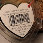 Beak Ty Beanie Baby 1998 Retired Kiwi Bird with Tag Protector Vintage Retired