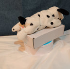 Ty Beanie Baby Dotty the Dalmatian Dog 1996 PVC Pellets Mint with Tags MWMT