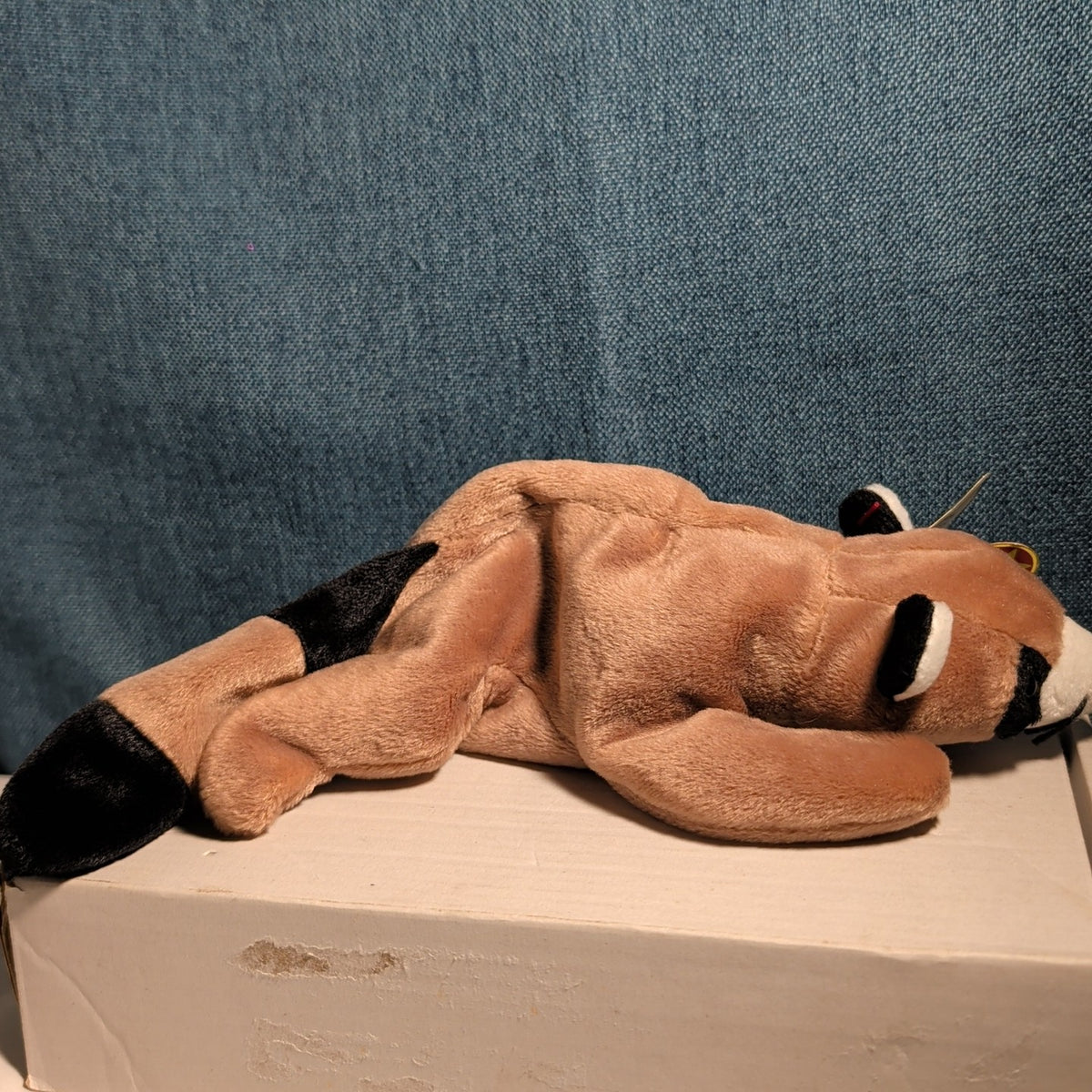 Ty Beanie Baby Ringo - MWMT (Raccoon 1995)