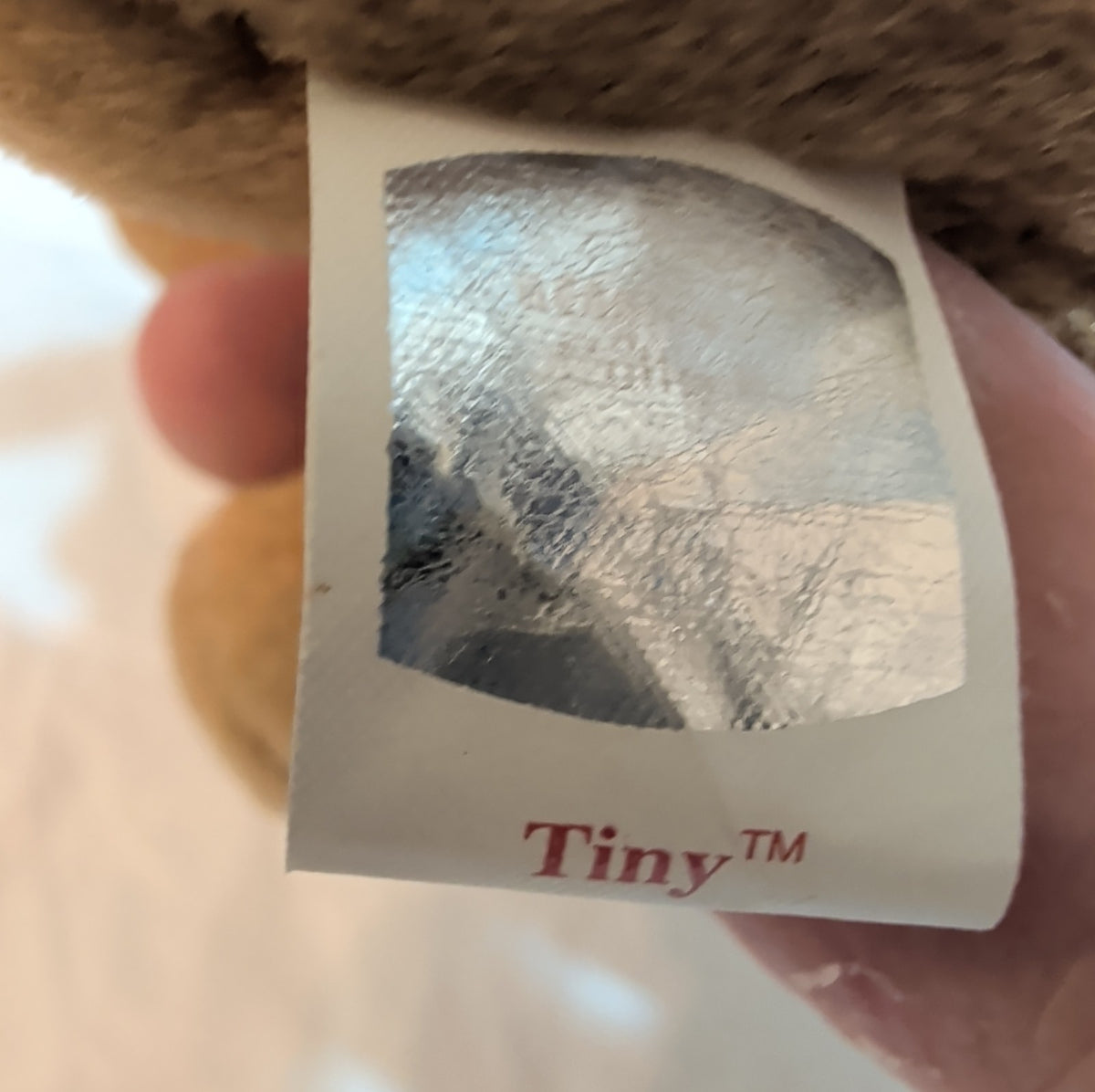 Ty Beanie Baby Tiny Chihuahua Dog Plush Vintage MWMT