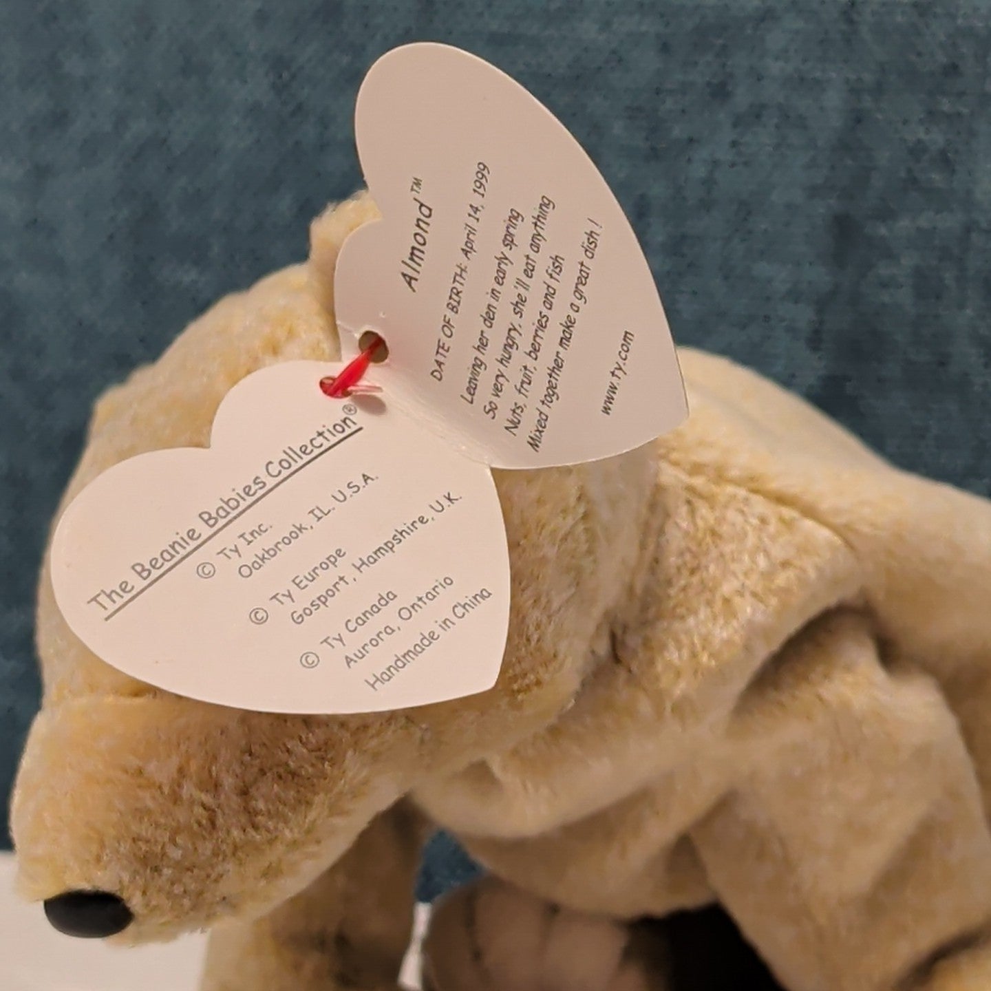 TY Beanie Baby ALMOND Beige Bear 1999 | MWMT Mint Tags | Retired Rare 7" Toy