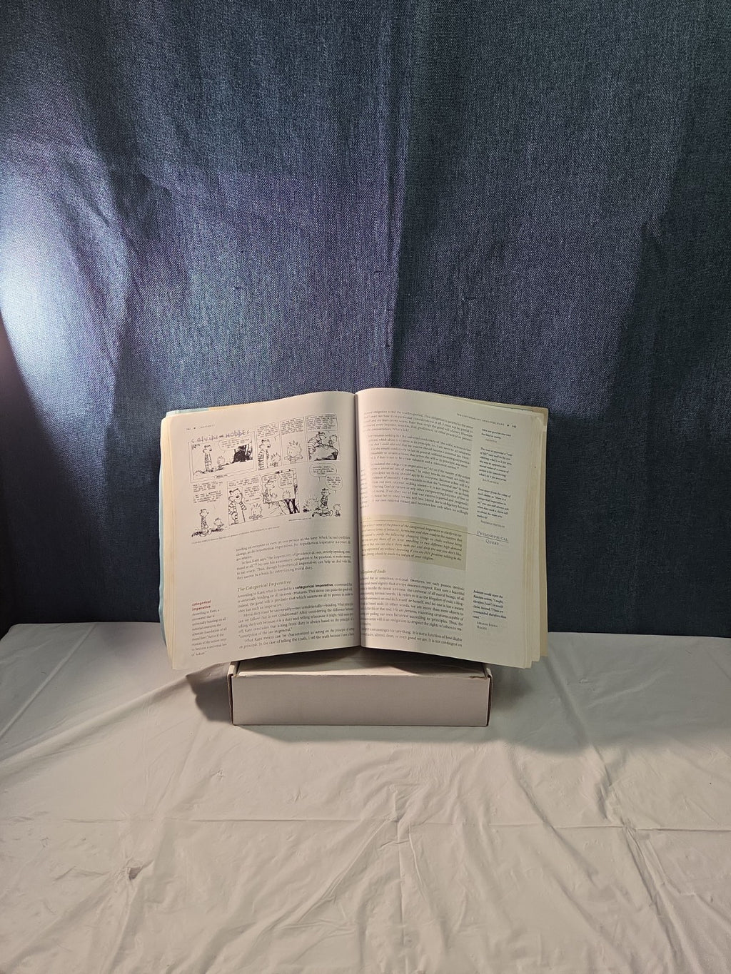 ARCHETYPES OF WISDOM: AN INTRODUCTION TO PHILOSOPHY By Douglas J. Soccio