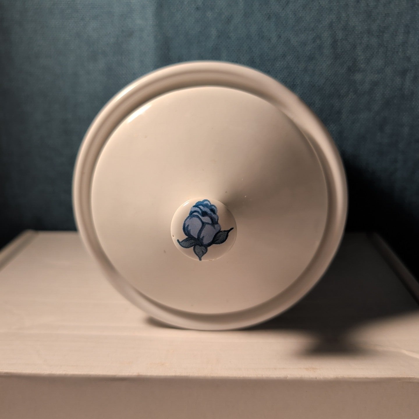 Jay Import Blue Rose Ceramic Canister with Lid Floral Farmhouse Decor 5" Jar