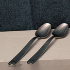 6 Pc GOURMET SETTINGS TAXI Flatware Set | 18/8 Stainless | 4 Knives | 2 Spoons
