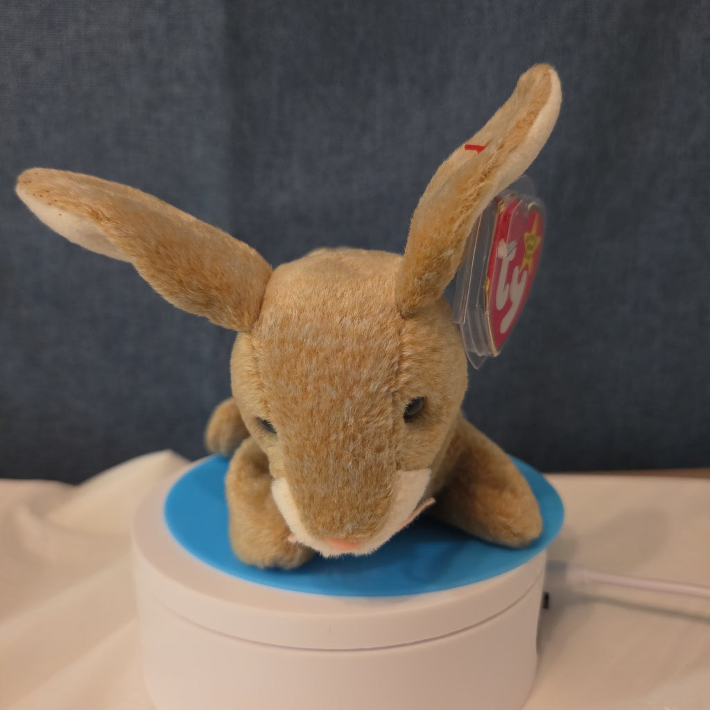 Ty Beanie Baby Nibbly Bunny Rabbit Plush 1999 NWT Hard Tag Protector