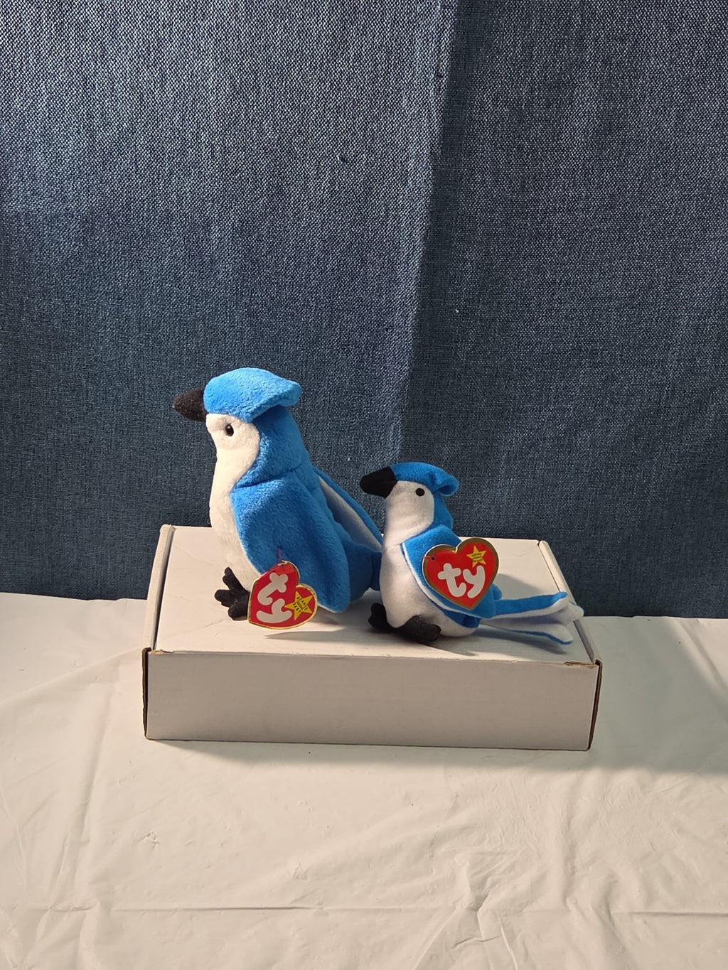 Ty Beanie Baby Rocket the Blue Jay Set Standard & Teenie Beanie 1998 NWT Bird