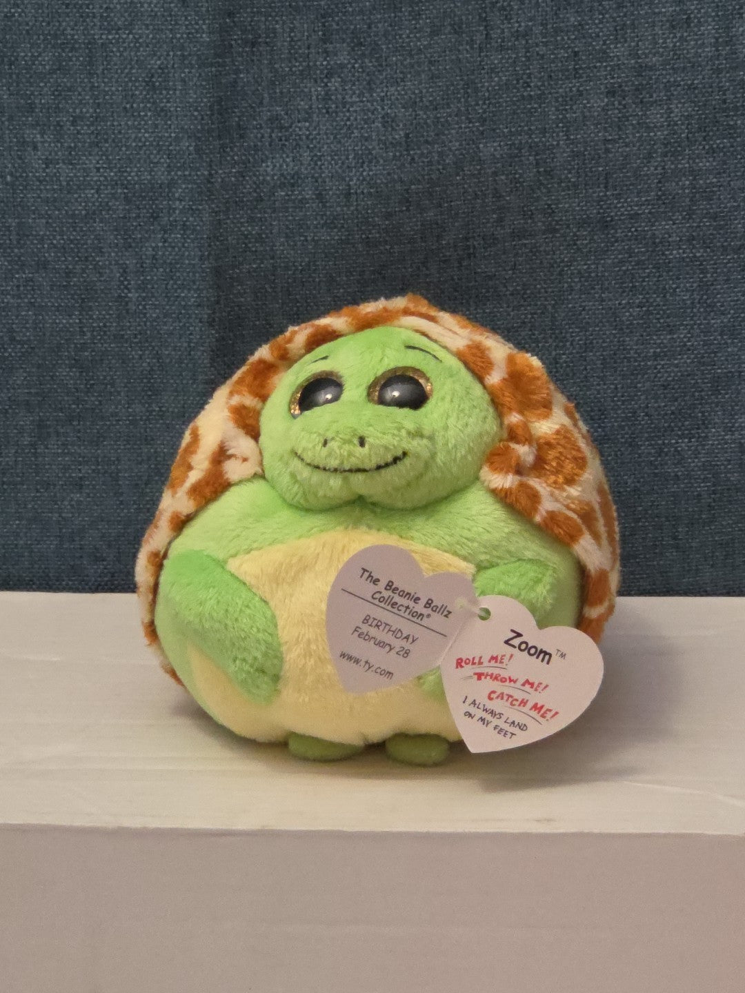 Ty Beanie Ballz Zoom the Turtle Plush Weighted Lands on Feet 2011 Retired MWMT