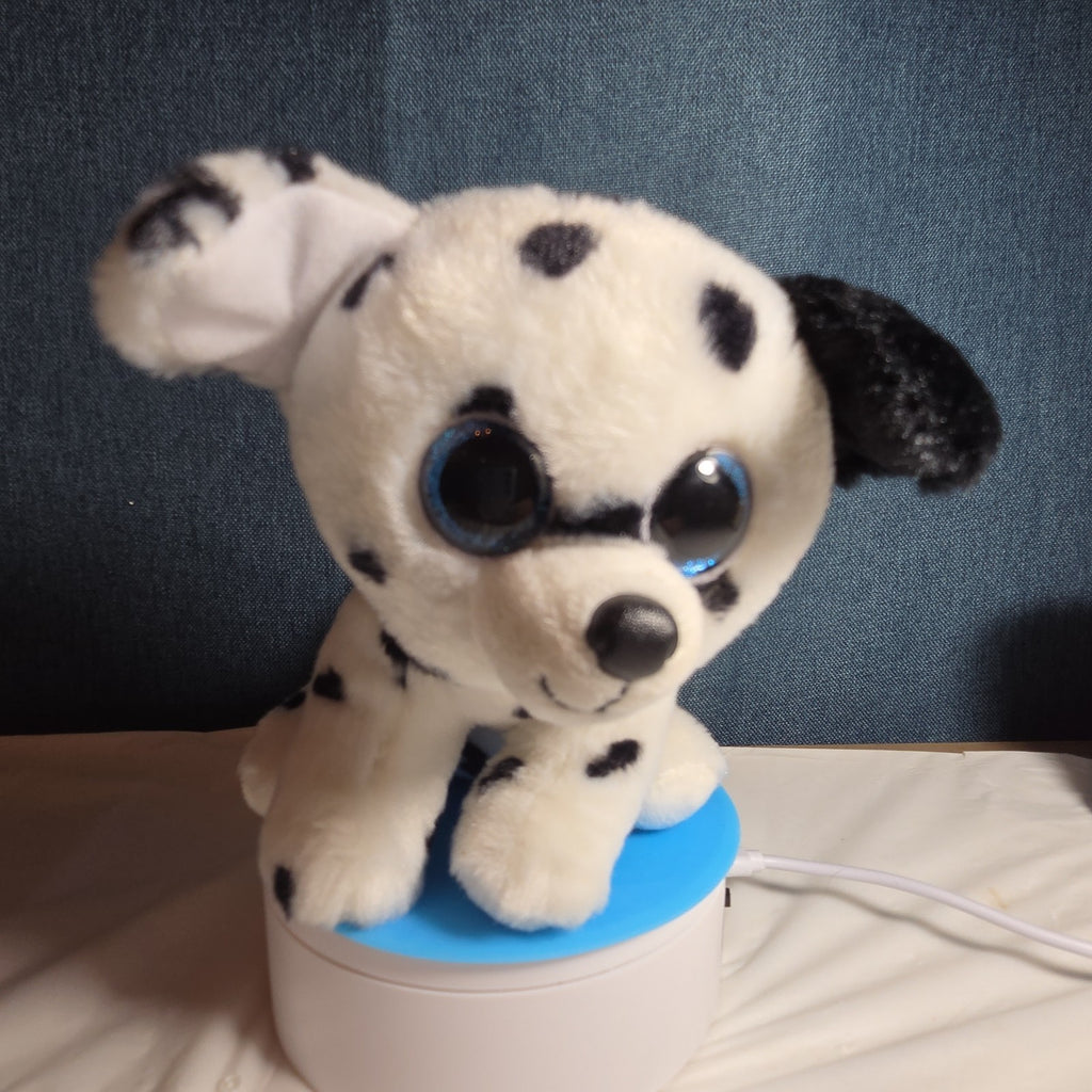TY Beanie Boos - FETCH the Dalmatian (Solid Eye Color) (6 inch) 2011