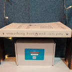Emily Giffin Something Borrowed Paperback