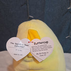TY Squish-a-Boos Buttercup 10in Yellow Bear Plush Pillow 2021 NWT