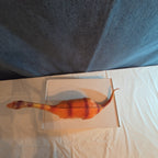 Apatosaurus Dinosaur Toy 11” Soft Vinyl Orange Red Stripe Brontosaurus Figure