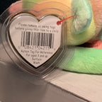 Sammy TY Beanie Baby 1999 Retired Tie-Dyed Multicolor Bear w/ Protector