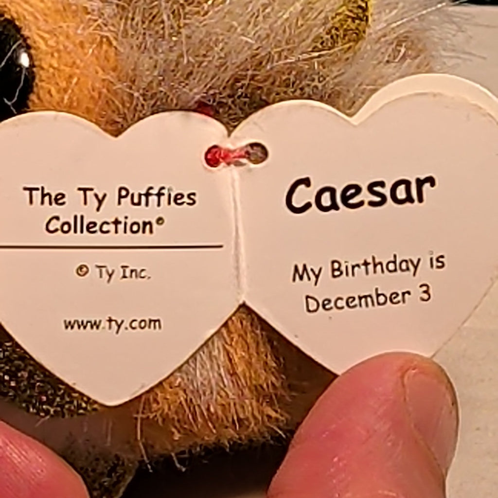 Ty Puffies CAESAR THE LION Beanie Ball 4" Plush | 2022 Mint with Tags MWMT Gold