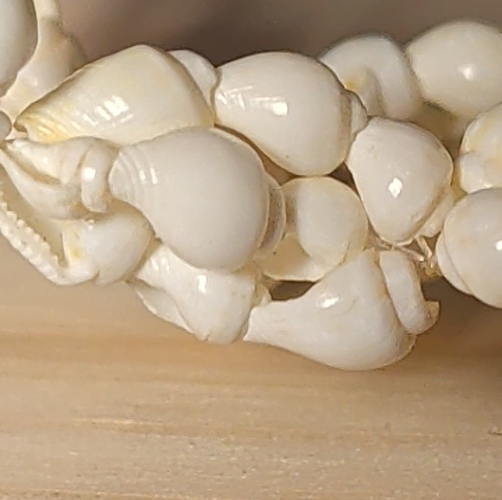 Hawaiian Woven Shell Lei Long Necklace Boho Beach