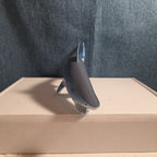 Fun Express Rubber Shark Toy Figure IN1963 Blue Gills Marine Life