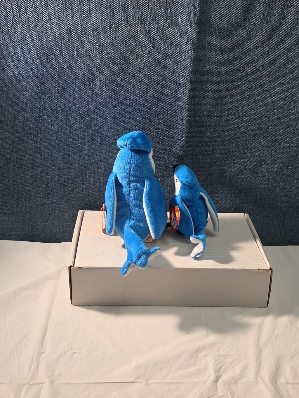 Ty Beanie Baby Rocket the Blue Jay Set Standard & Teenie Beanie 1998 NWT Bird