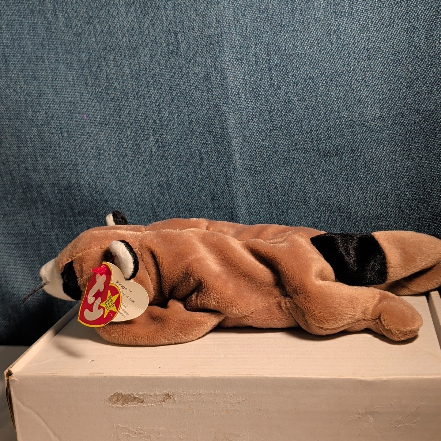 Ty Beanie Baby Ringo - MWMT (Raccoon 1995)