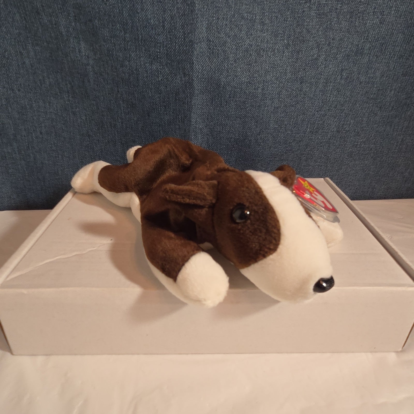 Ty Beanie Baby Bruno Dog Plush Vintage 1997 Bull Terrier Tags Protected