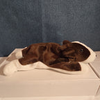 Ty Beanie Baby Bruno Dog Plush Vintage 1997 Bull Terrier Tags Protected
