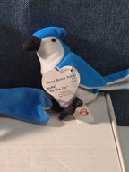 Ty Beanie Baby Rocket the Blue Jay Set Standard & Teenie Beanie 1998 NWT Bird