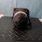 Loops & Threads Dewdrops Yarn #14 Jet Black Sequins Mohair Bulky DISCONTINUED