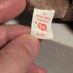 Ty Beanie Baby Ringo - MWMT (Raccoon 1995)