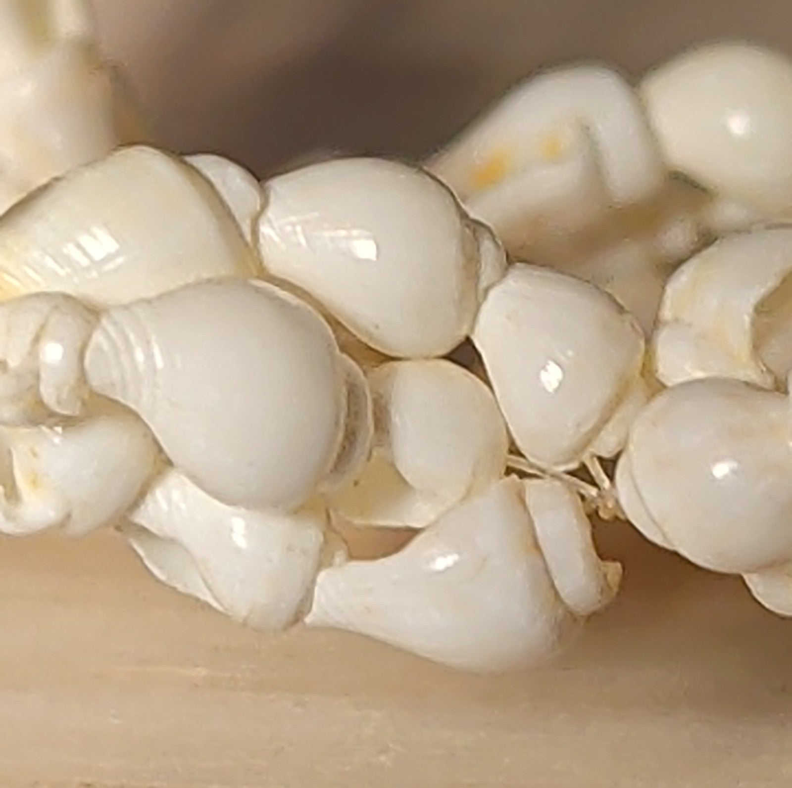 Hawaiian Woven Shell Lei Long Necklace Boho Beach