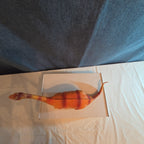 Apatosaurus Dinosaur Toy 11” Soft Vinyl Orange Red Stripe Brontosaurus Figure