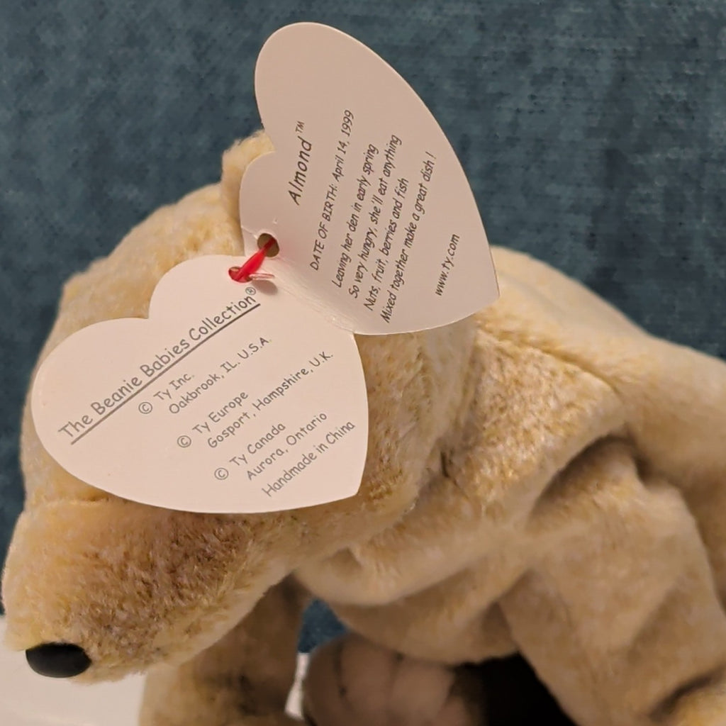 TY Beanie Baby ALMOND Beige Bear 1999 | MWMT Mint Tags | Retired Rare 7" Toy